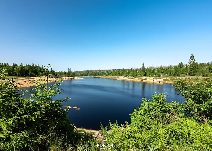 Panoramapark 46 - Im Harz 度假居 圣安德里斯伯格